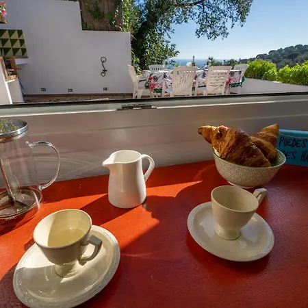 Alpago Piscina Privada Vistas Mar Aire Acondicionado Hébergement de vacances